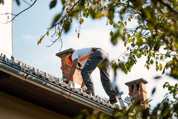 Best Roof Gutter Cleaning  in North River Shores, FL