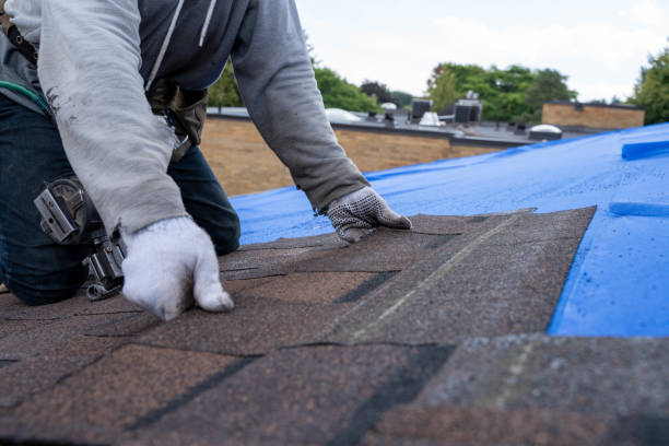 Best Storm Damage Roof Repair  in North River Shores, FL