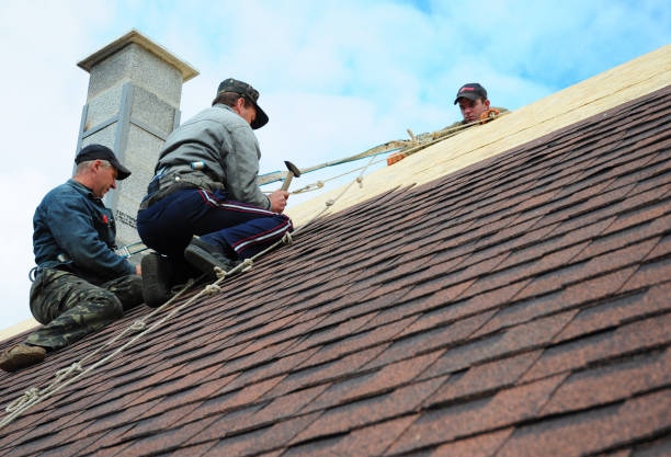 Professional Roofing Contractor in North River Shores, FL