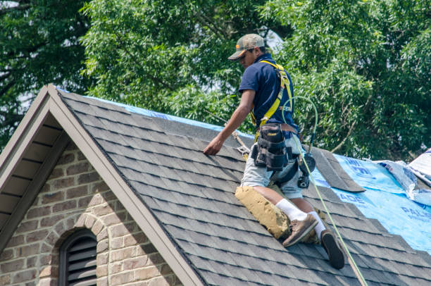 Best Best Roofing Contractors  in North River Shores, FL